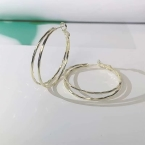 Argollas Doble Aro Clásicas A1634